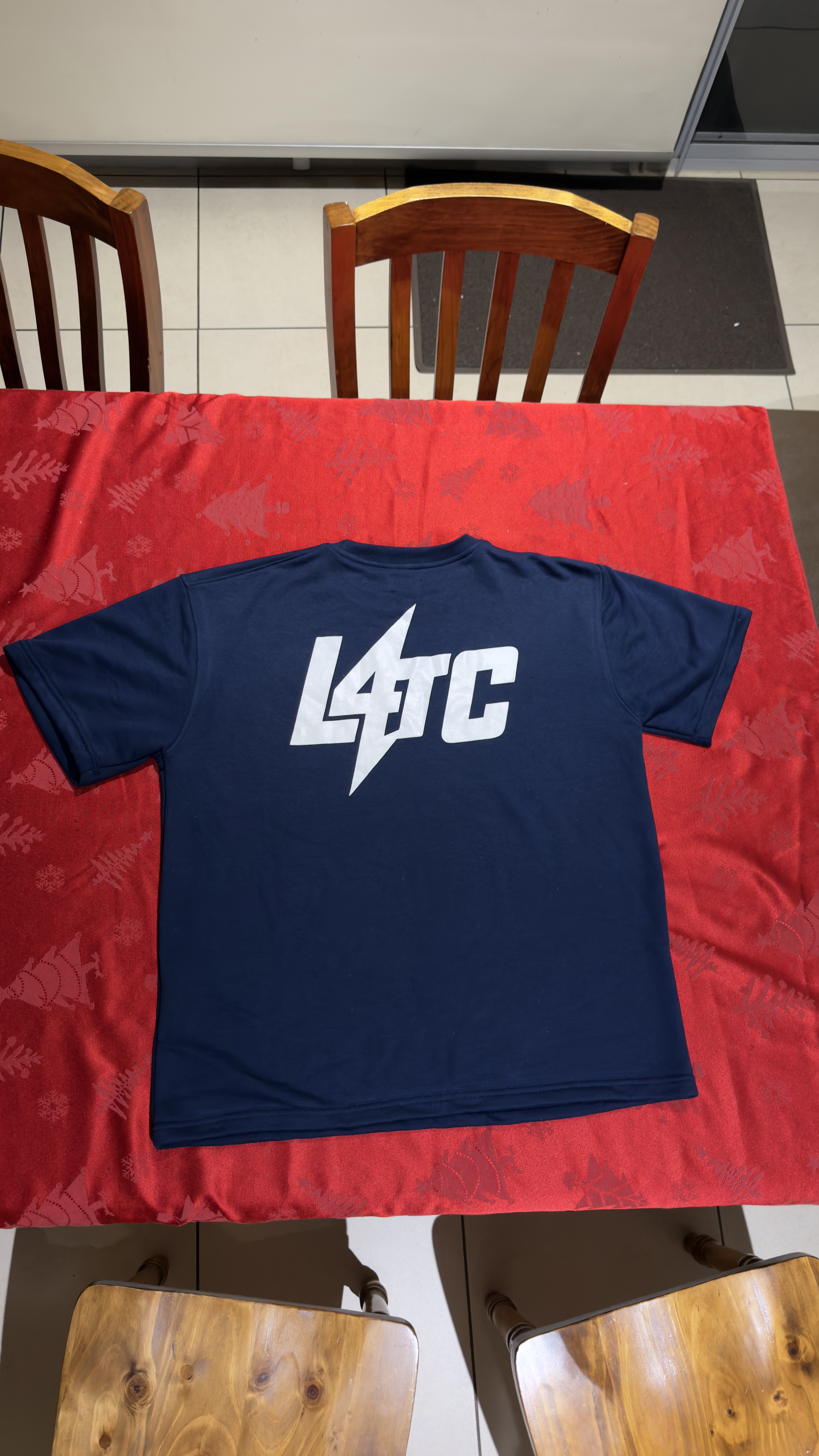 L4TC Statement Tee — full back
